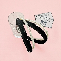 ySELECTztF~jp[̃C[hJ`[V